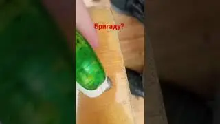 #scp