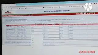 EMS portal entry process in SAP