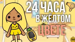 24 часа в желтом цвете **ТОКА БОКА**