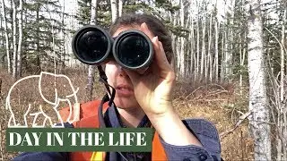 DAY IN THE LIFE of a wildlife biologist & answering YOUR questions