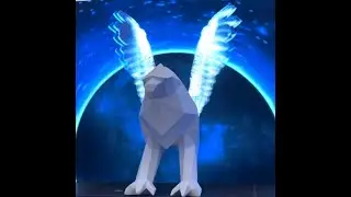 Light show of the festival 