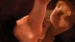 Animals in the Womb