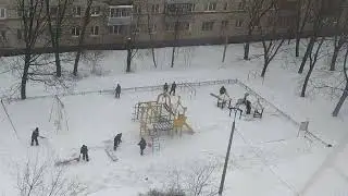 много, много дворников :)
