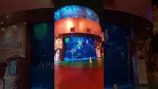 🏨🏍🐟 Cool Lobby at the Silverton Hotel 🐟🏍🏨 | 