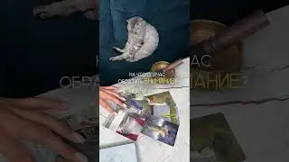 НА ЧТО СЕЙЧАС СТОИТ ОБРАТИТЬ ВНИМАНИЕ? 🙌🏻таро расклад