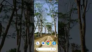 How to download Instagram videos