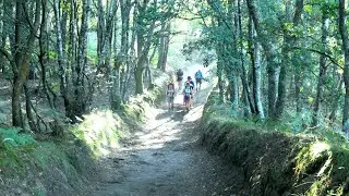 Day 4: Palace de Rei to Melide