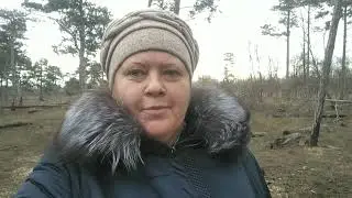 03 01 2022 КРЫМСКИЙ ЛЕС