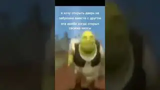 мем 