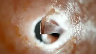 SATISFATÓRIA LIMPEZA DE OUVIDO REALISTA EM ASMR