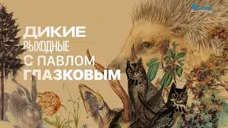 Дикие выходные с Павлом Глазковым. Памятник природы «Токсовские высоты»