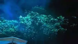 Lasers on the Trees at Secret Dreams 2022