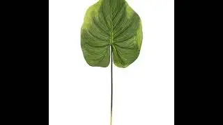 Artificial Foliage Plant
