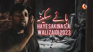 Bibi Sakina s.a Noha 2023 | Wali Zaidi | 13Safar1445