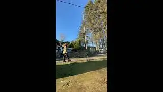 120' Norway Spruce removal with time lapse