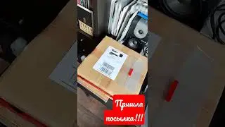 4 апреля 2023 г.
