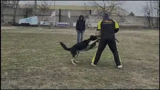 Кубок Камышина. Защитный раздел