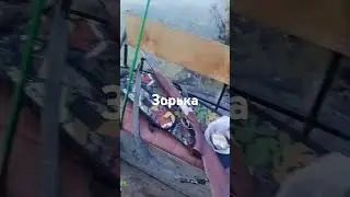 Зис 5 на утку