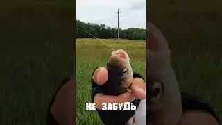 Китайский воблер на голавля с AliExpress 