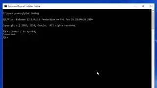 09 Oracle SQL    Connecting as a SYSDBA   Lab