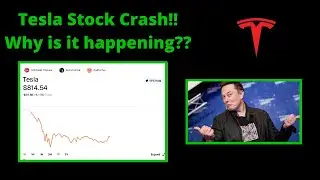 Tesla Stock Crash!!