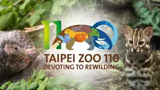 臺北動物園建園110週年園慶影片30秒
