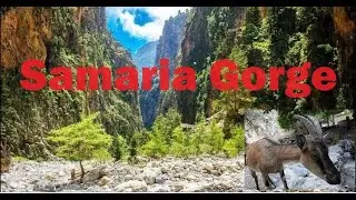 Самарийское  ущелье. Крит. 6 часов и 13 км в 20 минутах. Samaria Gorge in Greece.