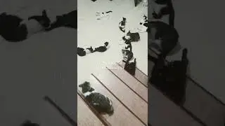 Sabar menunggu jatah makan malam