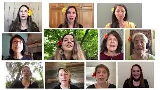 Virtual Choir - Georgian song Batonebis