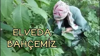 Bahçelerimizi bırakıp gitmek zorundayız