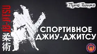 Спортивное Джиу-Джитсу.