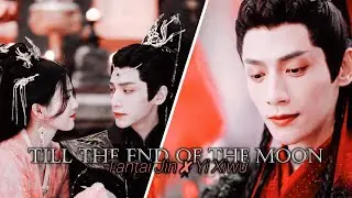 Till the End of the Moon || Why are we still suffering? [ 长月烬明 MV ]