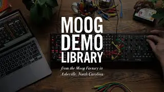 Mavis & Subharmonicon | Patching Together