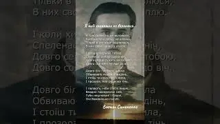 Я тобі галантно не вклонюся… Василь Симоненко