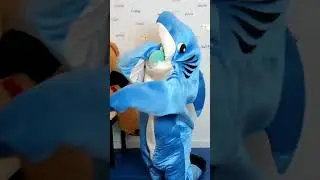 WHAT ARE YOU DOING BIG SHARK?! 