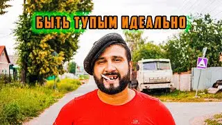 Тупость Идеальна