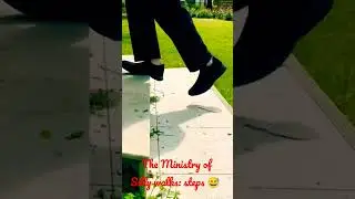 The Ministry of Silly Walks: steps & steps