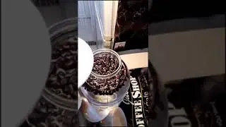 ✅Настойка на кедровых орешках, вкусно и просто