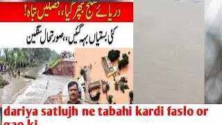 dariya satlujh me Kitna Pani hai