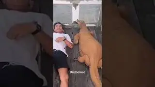 Лучшие Приколы 2023 Часть 15