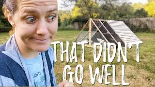 Making Adjustments to the Chicken Tractor