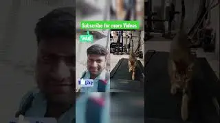 cat walk vadivelu #shortfeeds #reactionvideo #arunreaction #arunpravan #vadivelu #vadiveluversion