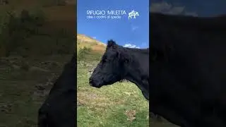 AGGIORNAMENTO Inferno alle porte di casa