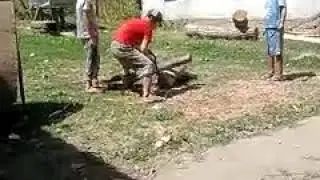 Айылда иш кылганы адам жок жаш балдар иш кылып калды