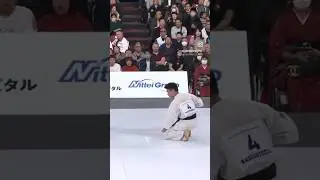 Удар в печень – никто не не вечен! 13 Абсолютный Чемпионат мира  #ko #kyokushin #iko #videoeremenko