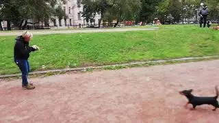 21 сентября 2019 г.