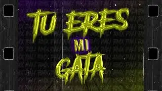 TU ERES MI GATA - RKT - PALI RMX