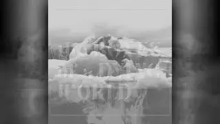 After The Smoke Clears - If These Trees Could Talk