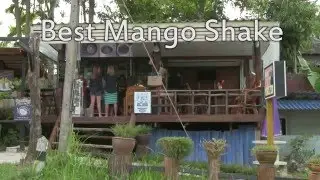 Impressionen aus Thailand - Mango Shake
