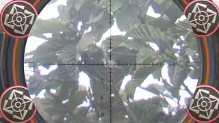 SABTU HUNTING CERIA JARAK 47 M - 116 M